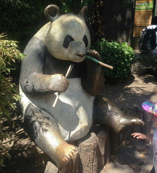 当大熊猫出现在80年代的mv里
