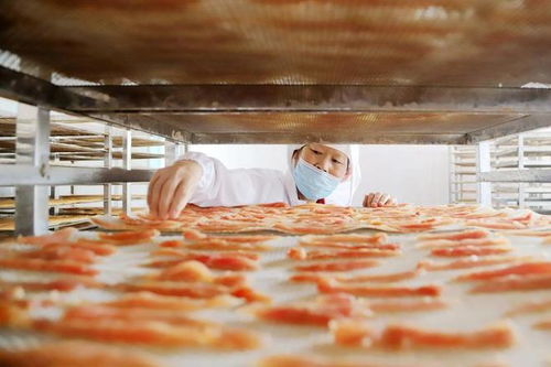 两年上市四家 宠物食品代工厂何以 抢跑 成功