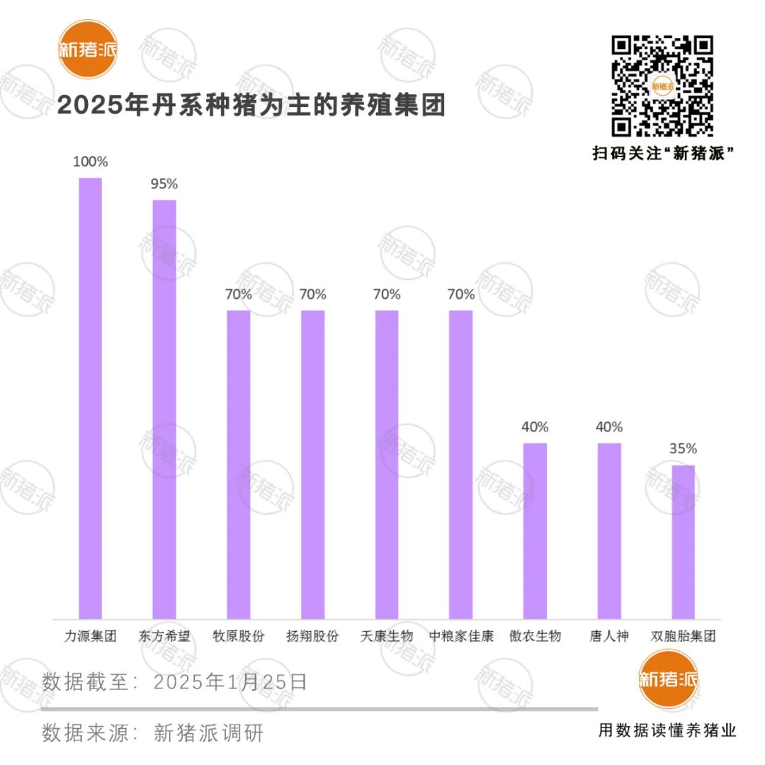 2025年TOP20猪企种猪品系结构分析:丹系37%法系21%,PIC与托佩克正逐步崛起「福建新桂龙特约·种猪视野」