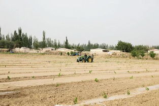 打赢脱贫攻坚战 尽心竭力为扶贫——记二二五团巴格托格拉克村访惠聚工作队队长高建军扶贫先进事迹