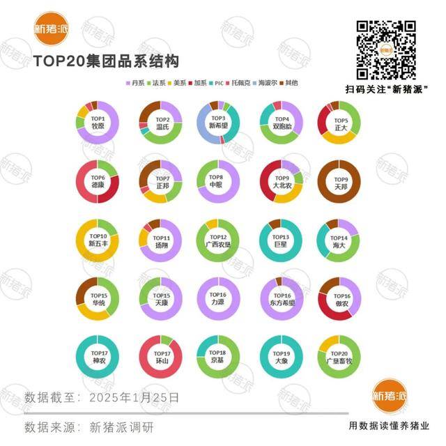 2025年TOP20猪企种猪品系结构分析 丹系法系仍占主导，PIC与托佩克强势崛起