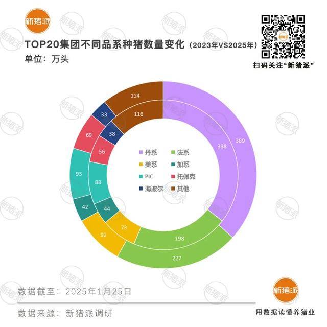 2025年中国TOP20猪企种猪品系结构分析 丹系法系占主导，PIC与托佩克崛起