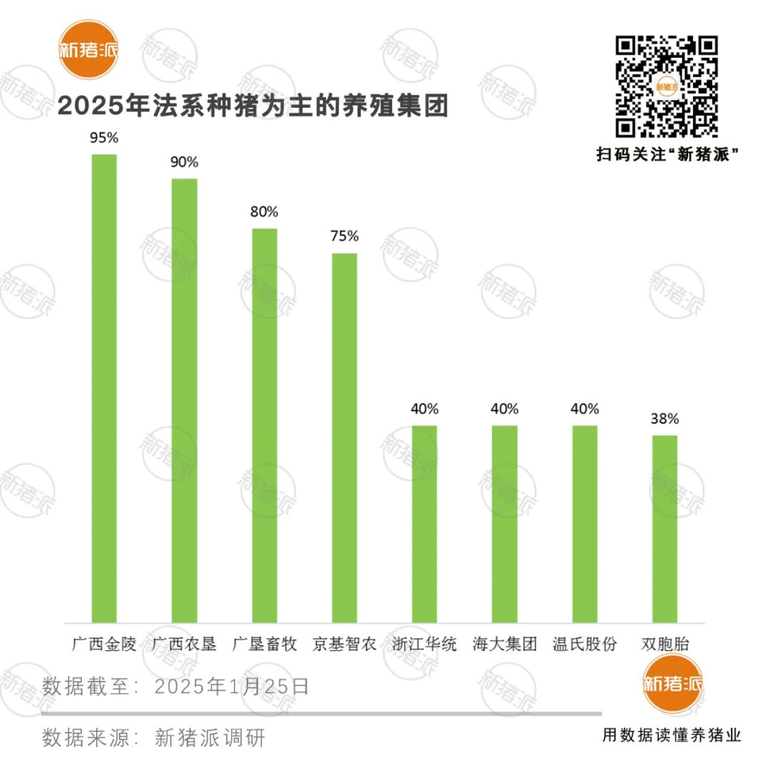 2025年TOP20猪企种猪品系结构分析:丹系37%法系21%,PIC与托佩克正逐步崛起「福建新桂龙特约·种猪视野」