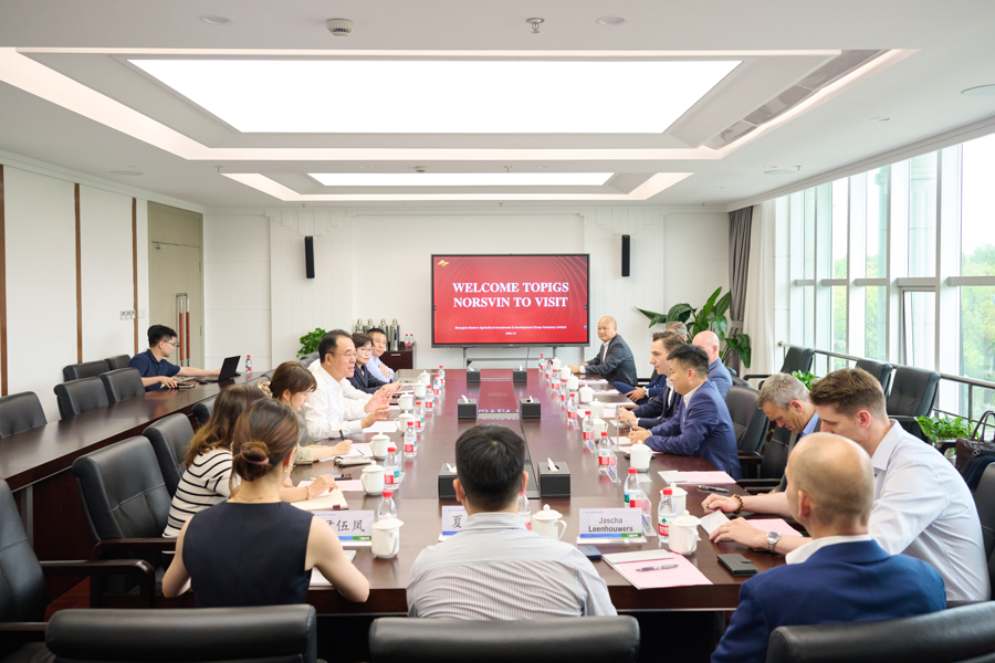 布局种源农业，国际领先种猪育种项目落户横沙新洲